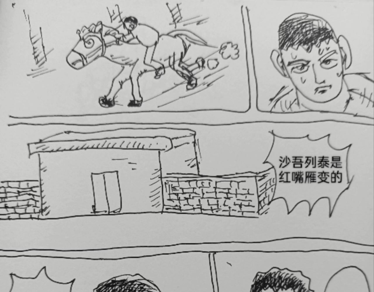 毡帽上的羽毛0