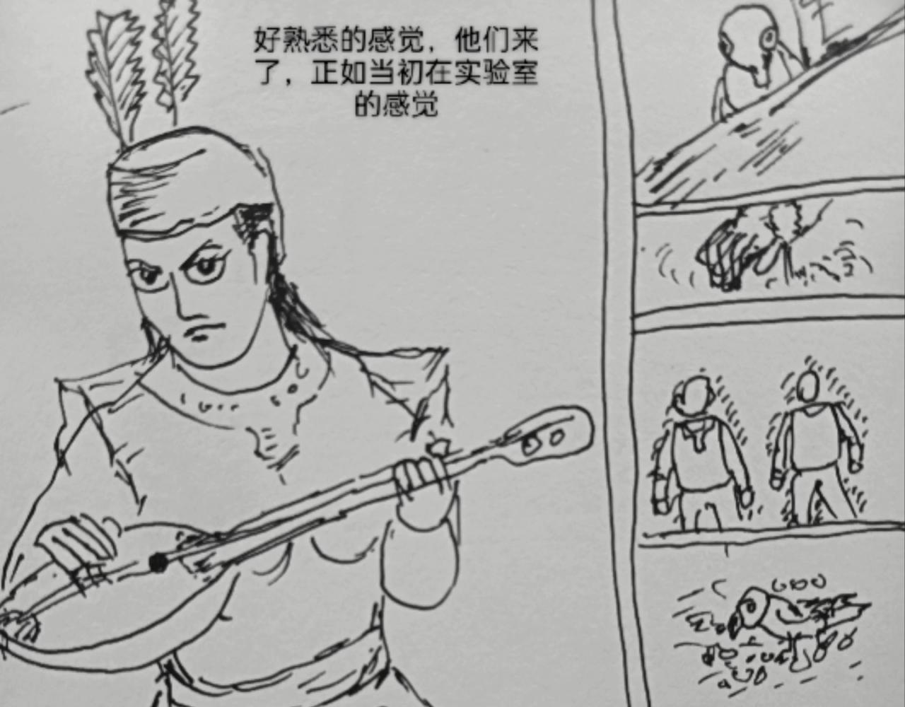 毡帽上的羽毛12