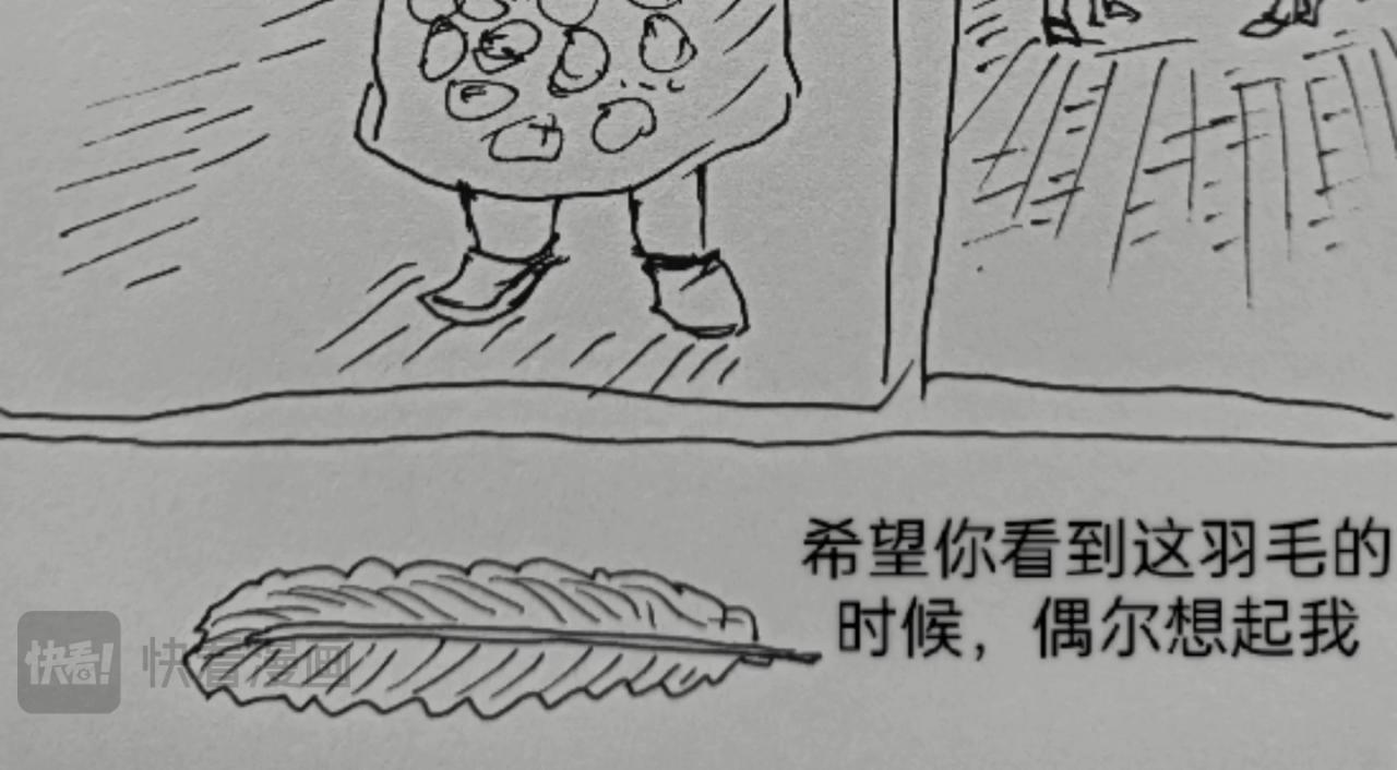 毡帽上的羽毛25