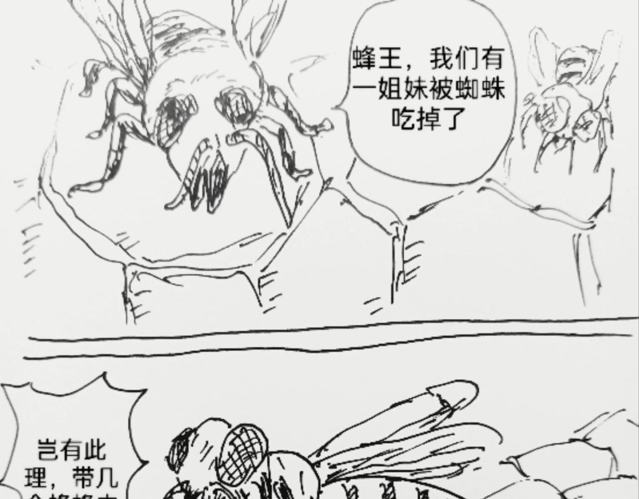 蜘蛛想拥有一双翅膀0
