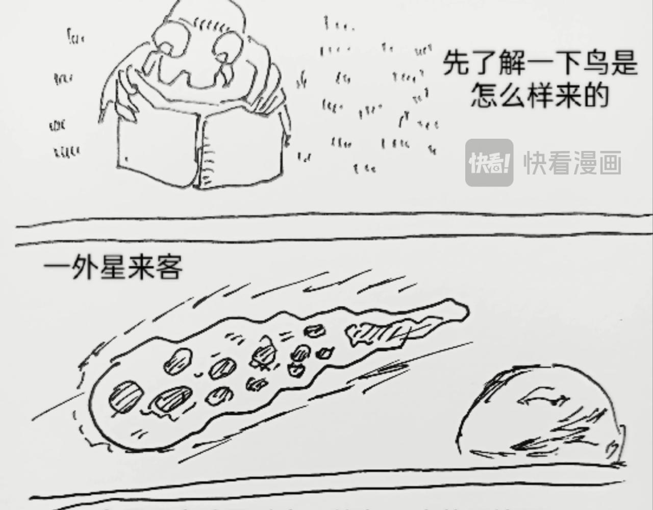 蜘蛛想拥有一双翅膀12