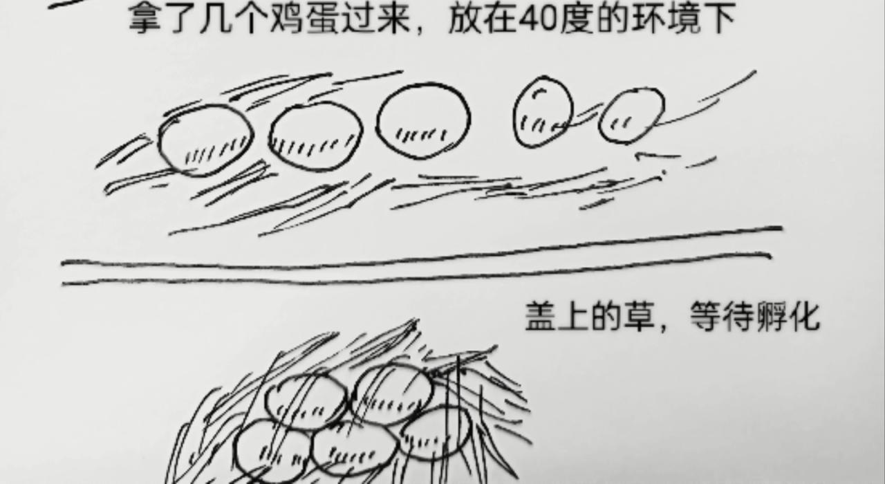 蜘蛛想拥有一双翅膀13