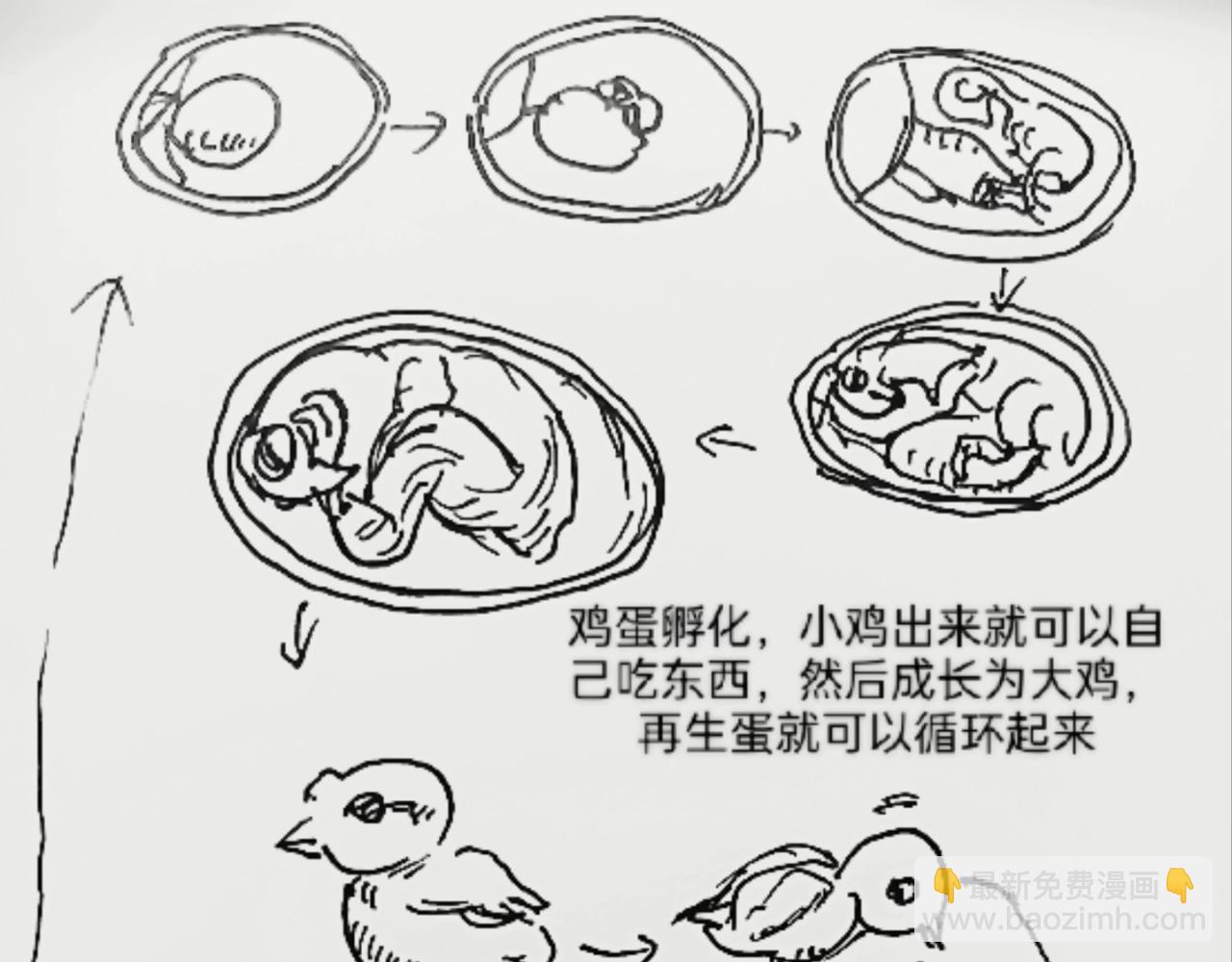 蜘蛛想拥有一双翅膀14