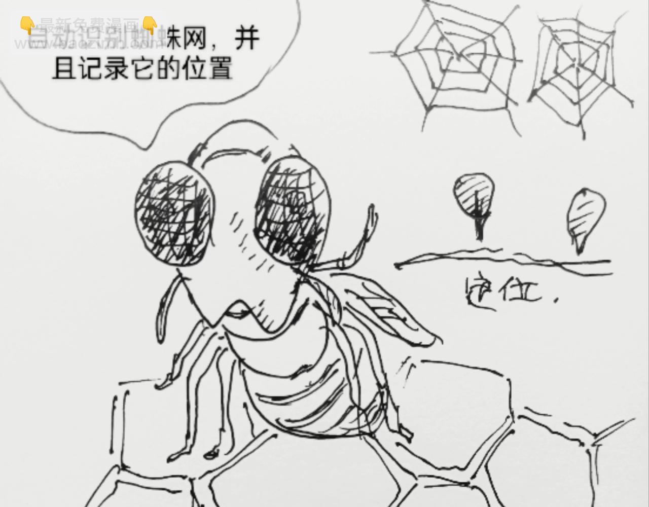 蜘蛛想拥有一双翅膀2