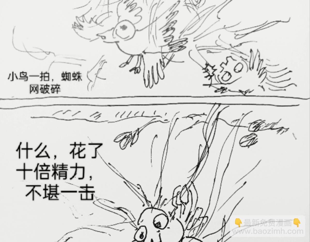 蜘蛛想拥有一双翅膀20