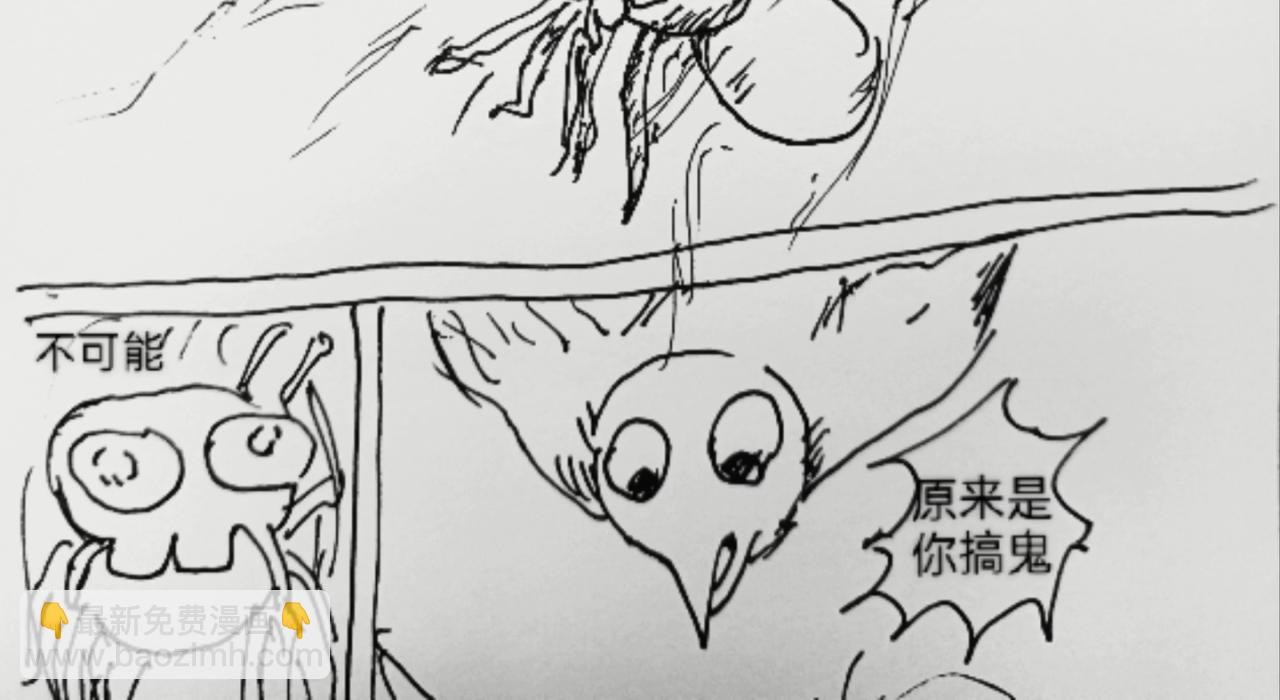 蜘蛛想拥有一双翅膀21