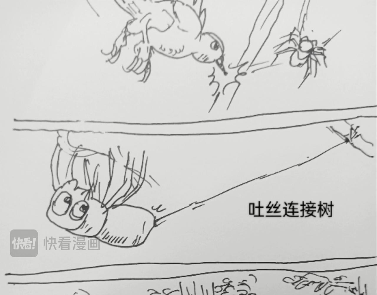 蜘蛛想拥有一双翅膀22