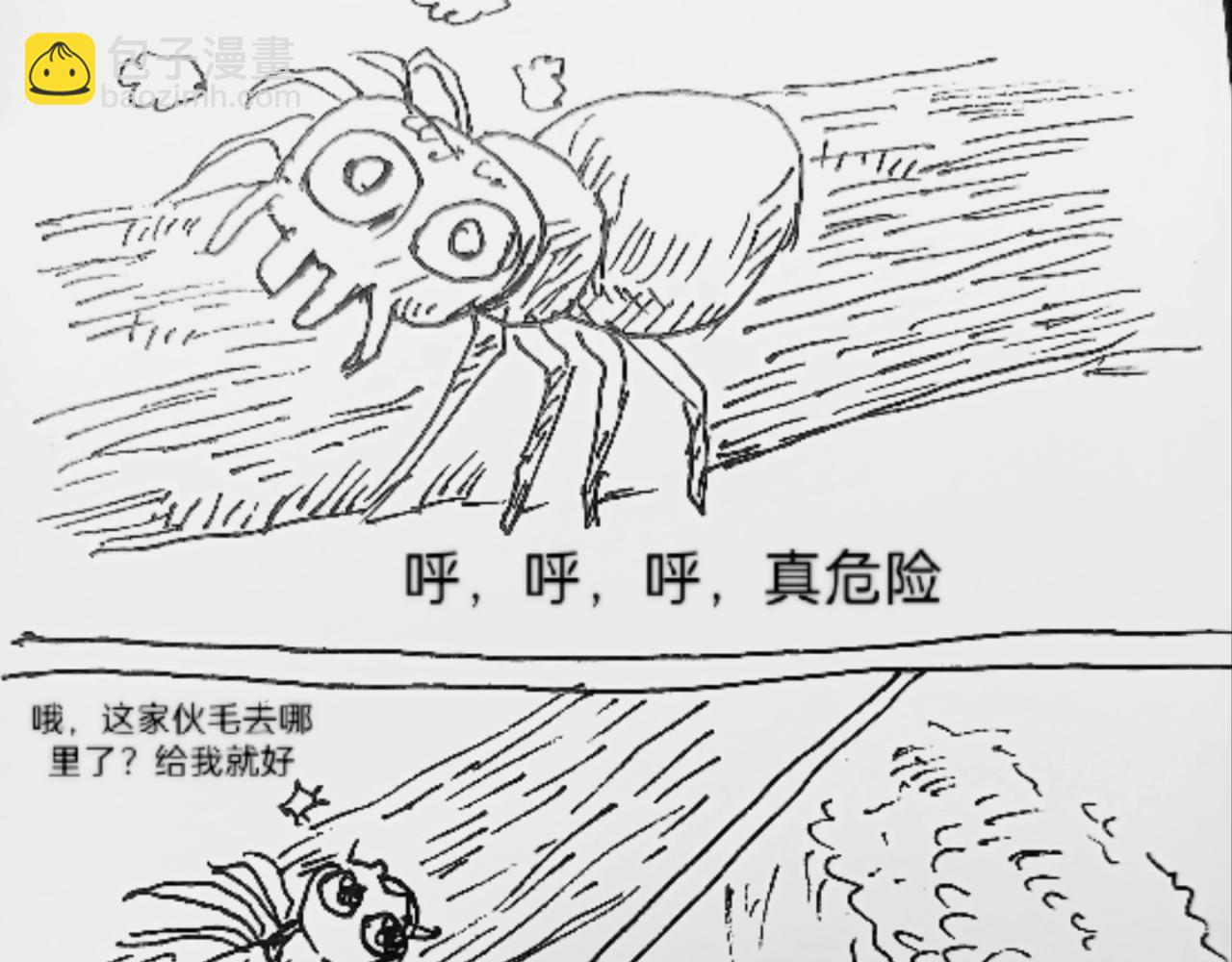 蜘蛛想拥有一双翅膀24