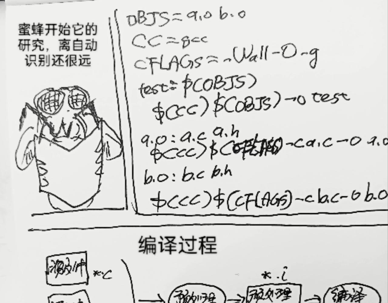 蜘蛛想拥有一双翅膀26