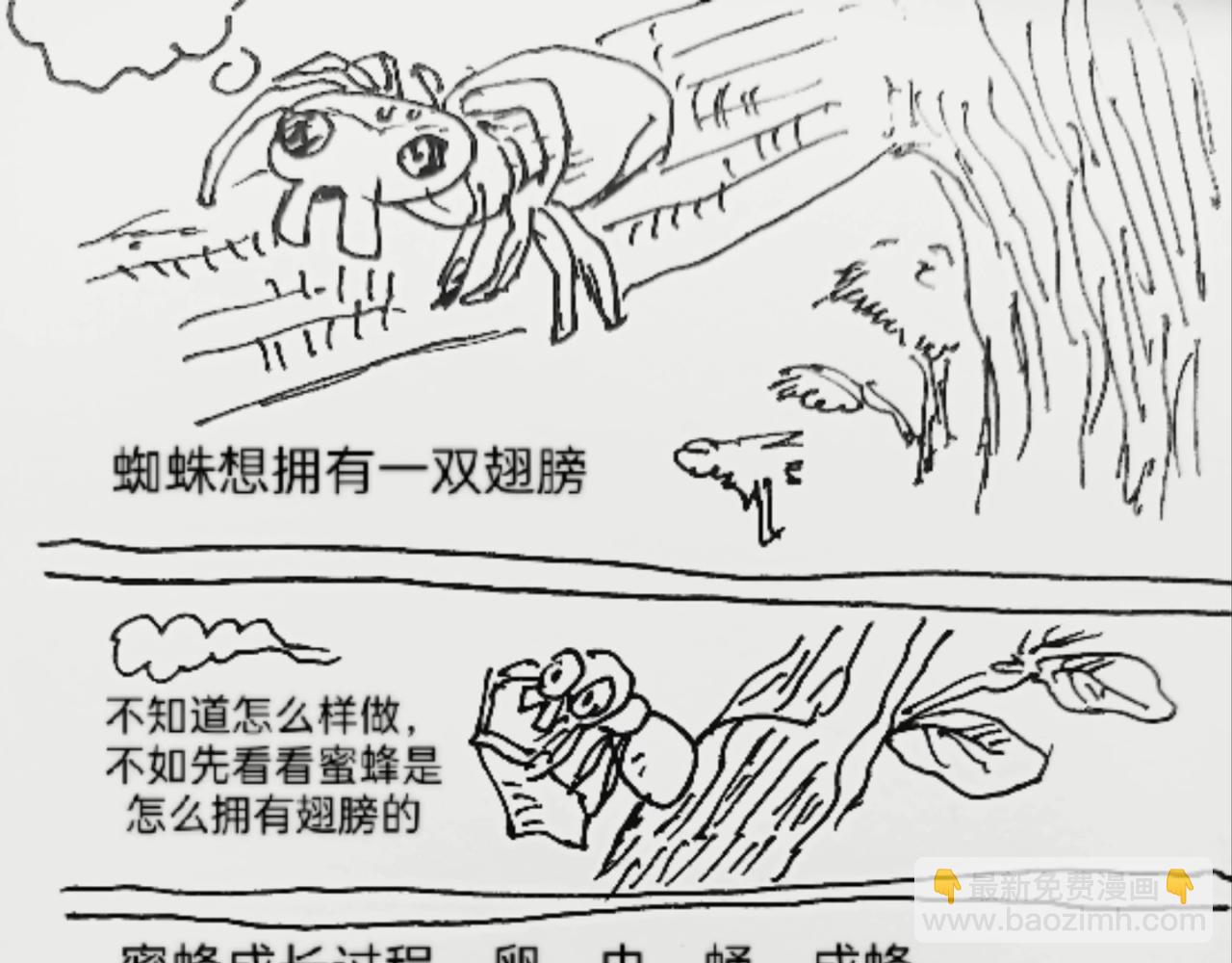 蜘蛛想拥有一双翅膀4