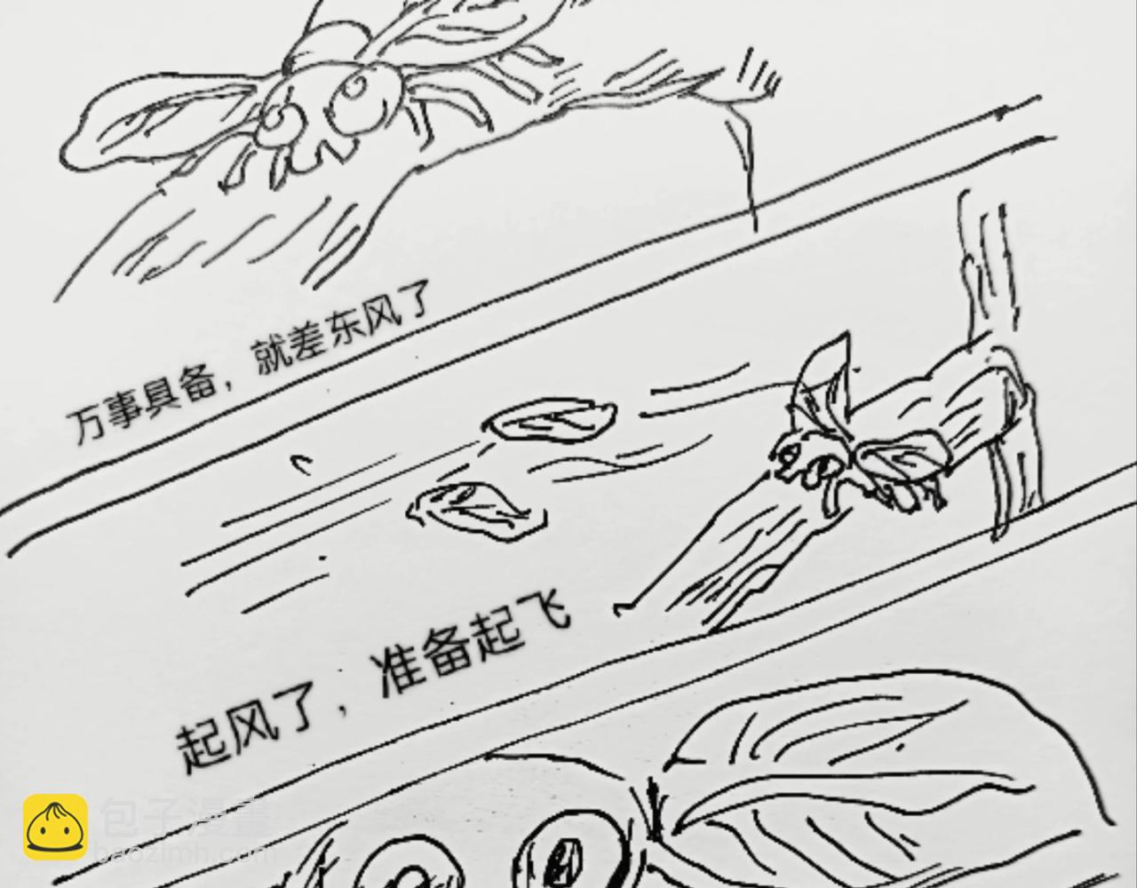 蜘蛛想拥有一双翅膀8