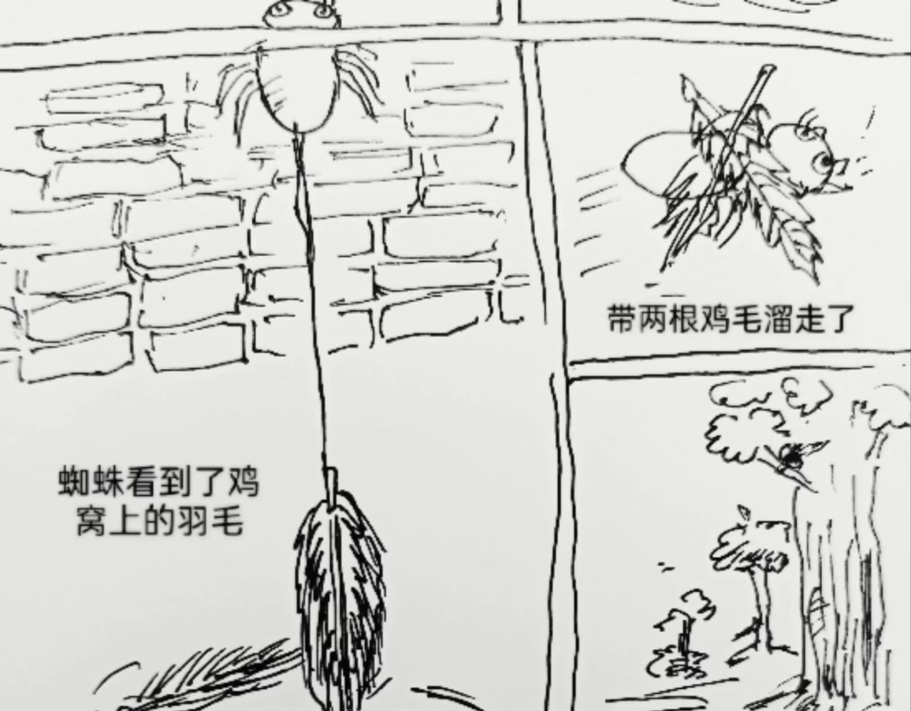 无毛鸡的愤怒10