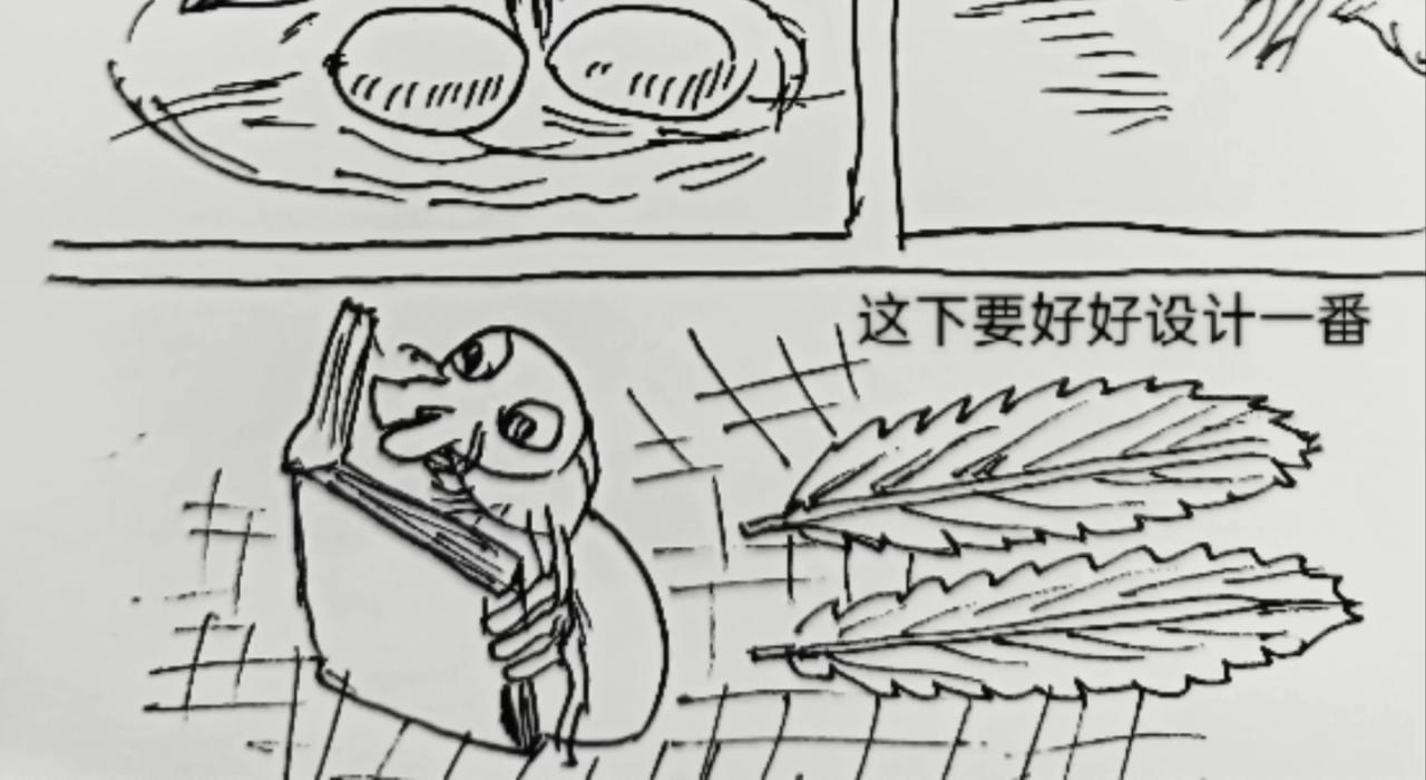 无毛鸡的愤怒11
