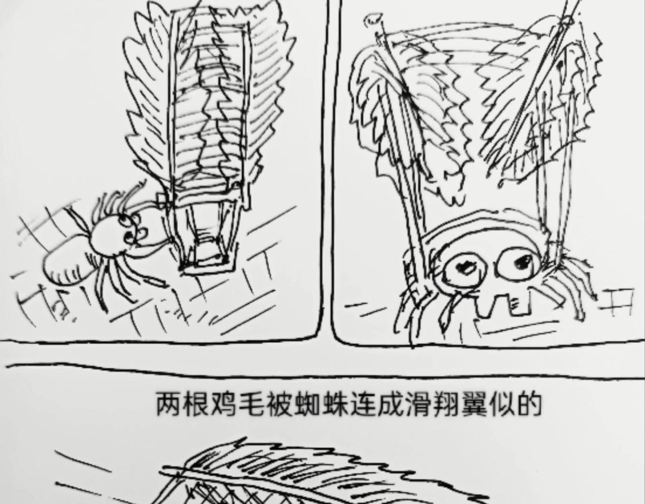 无毛鸡的愤怒12