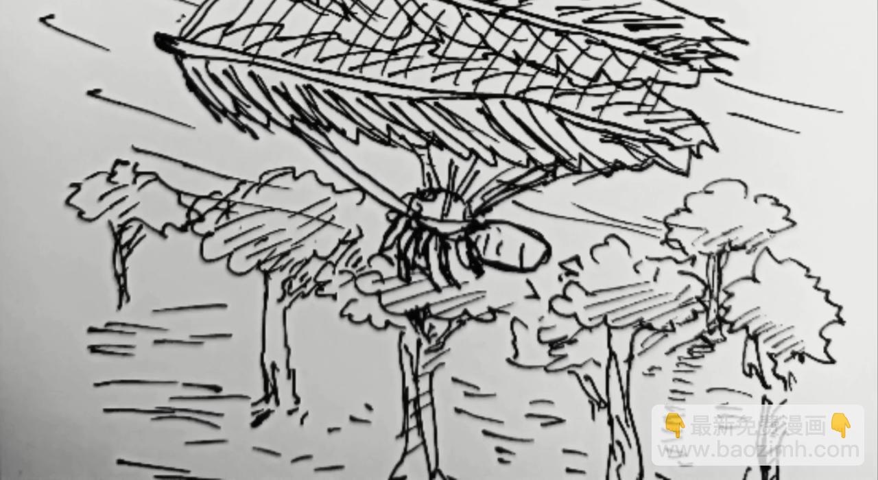 无毛鸡的愤怒13