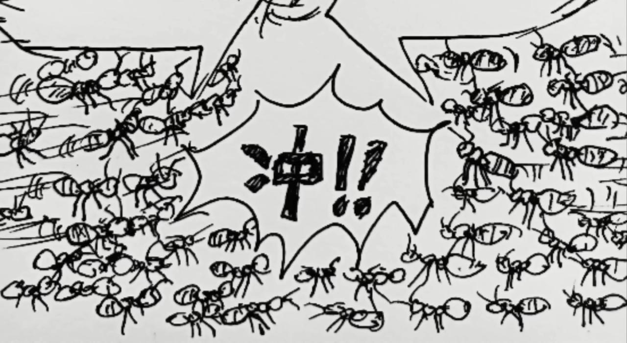 无毛鸡的愤怒17