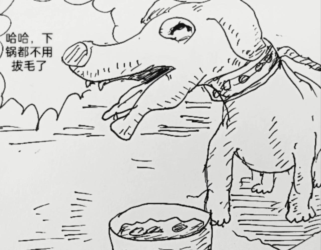无毛鸡的愤怒2