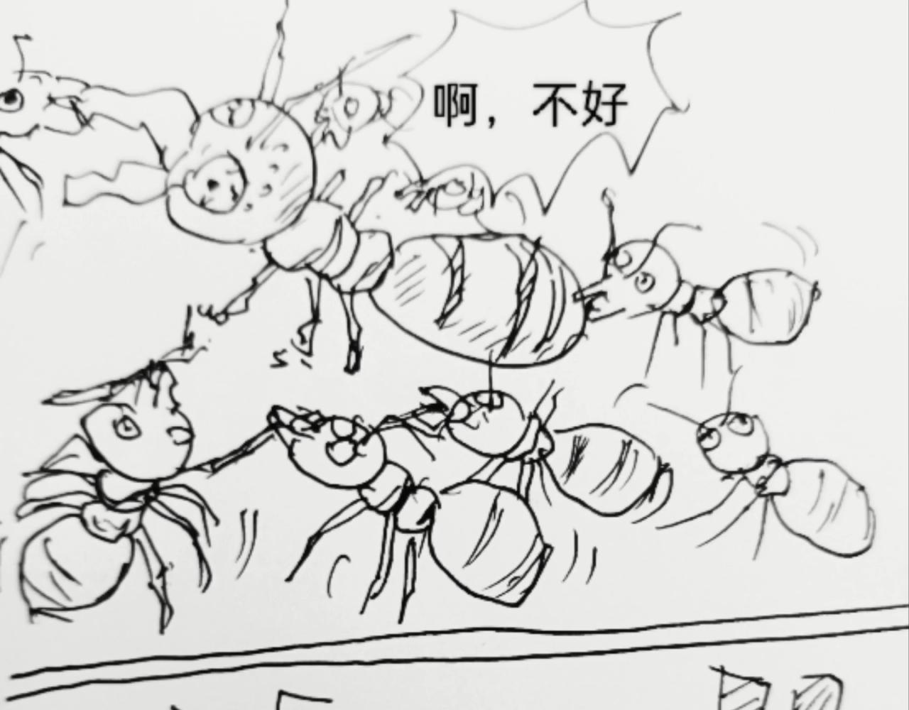 无毛鸡的愤怒22