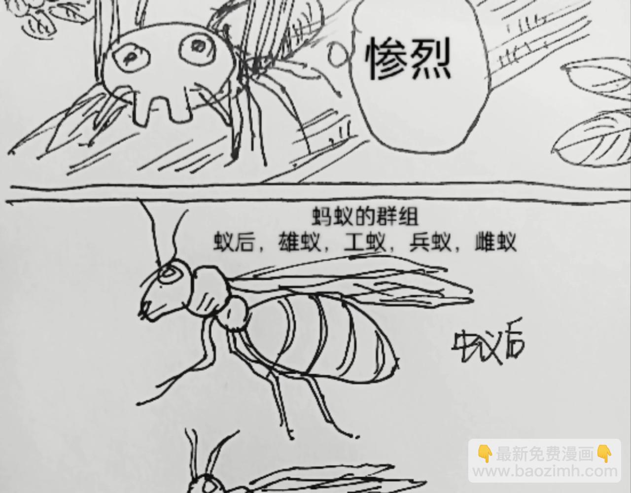 无毛鸡的愤怒30