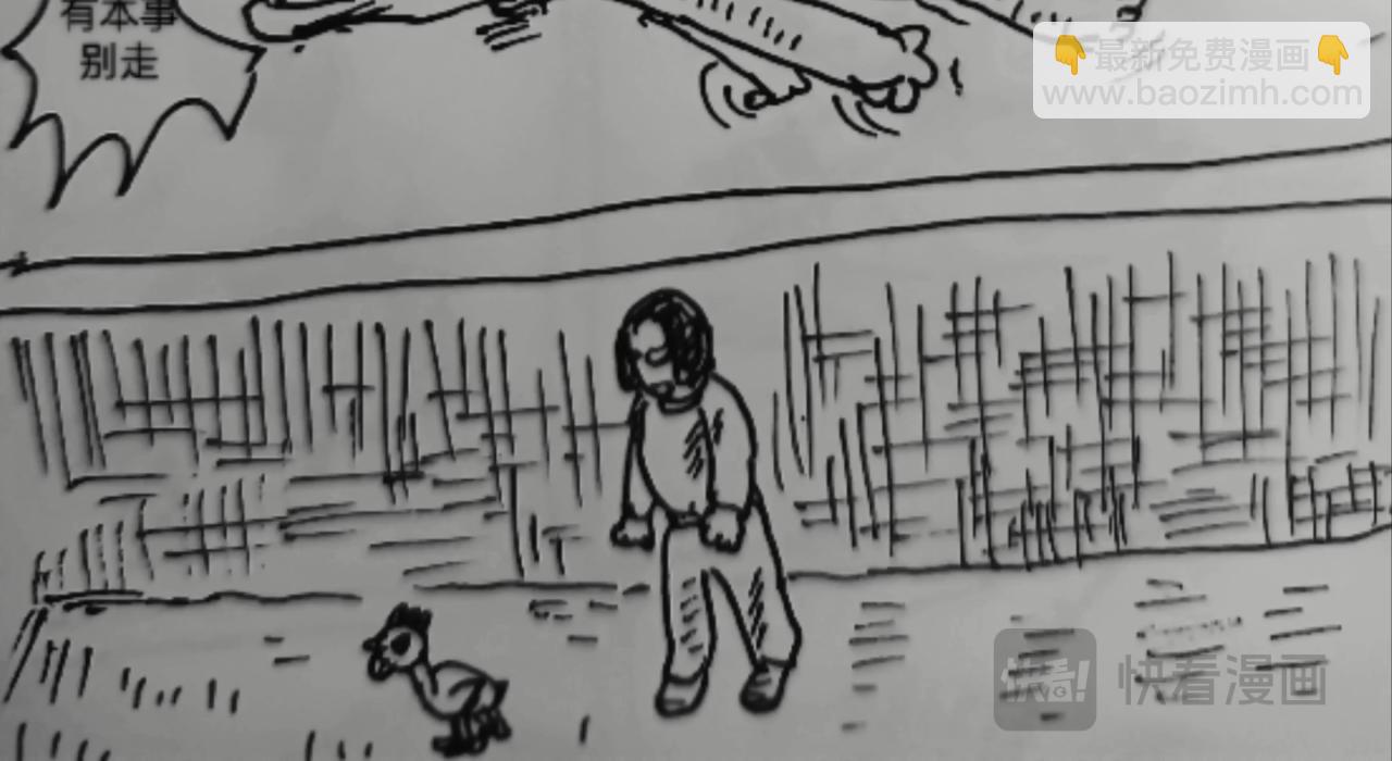 无毛鸡的愤怒7