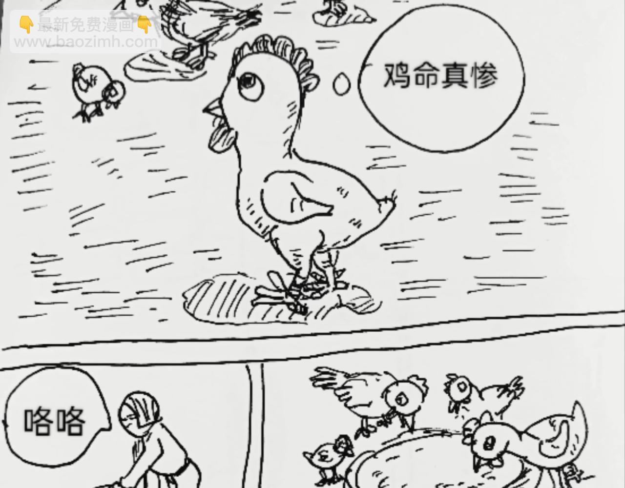 无毛鸡的愤怒8
