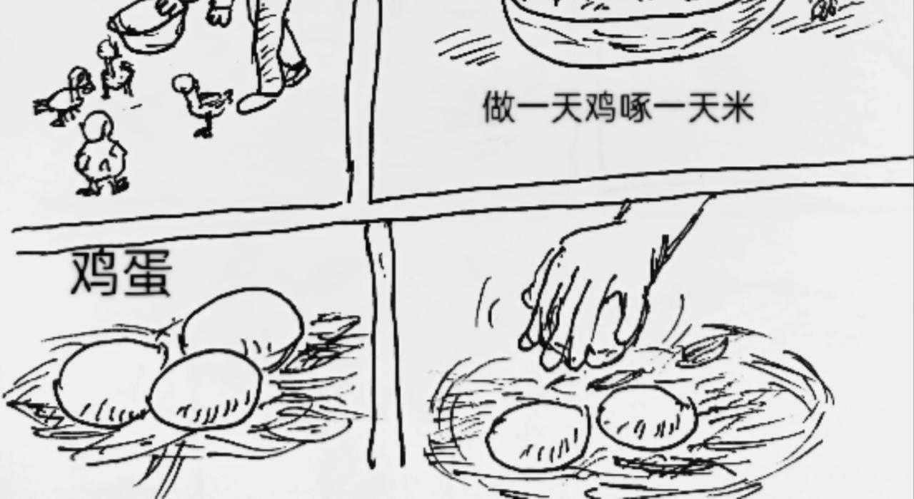 无毛鸡的愤怒9