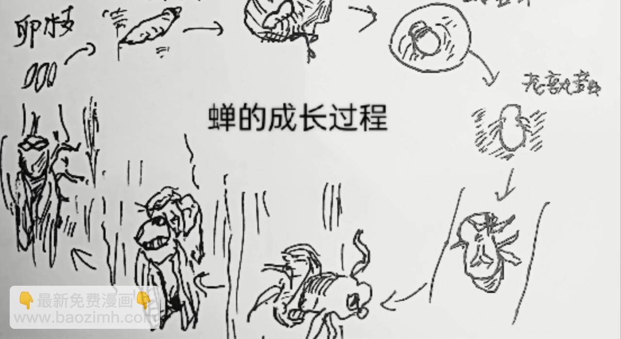 发声器就是求爱利器5