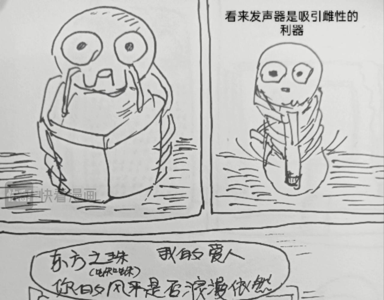 发声器就是求爱利器8