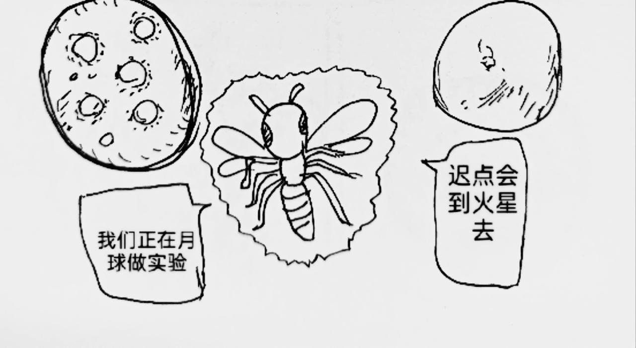 激活月球磁场17