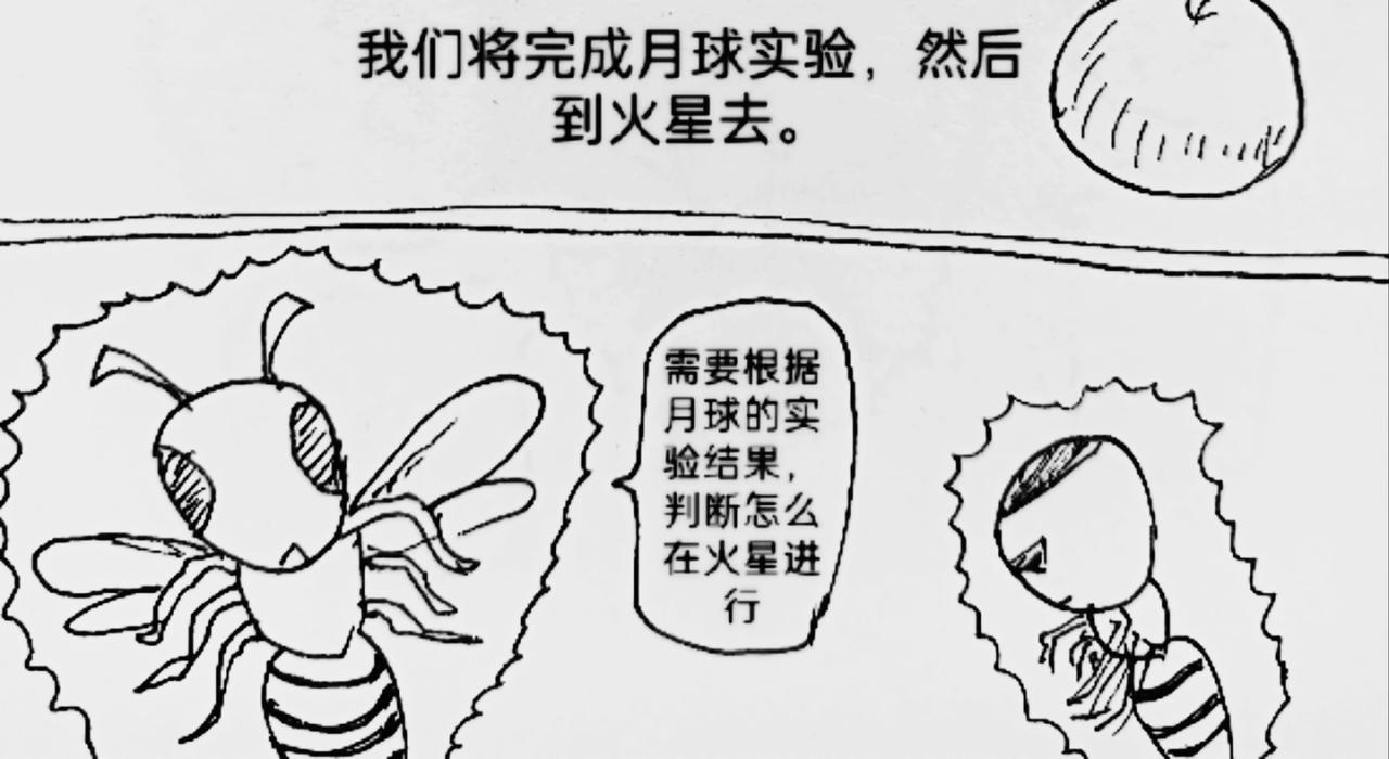 激活月球磁场19