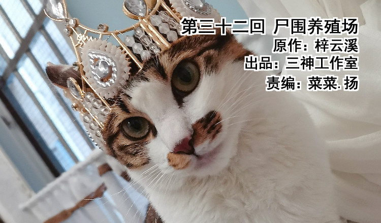 第三十二回 尸围养殖场0