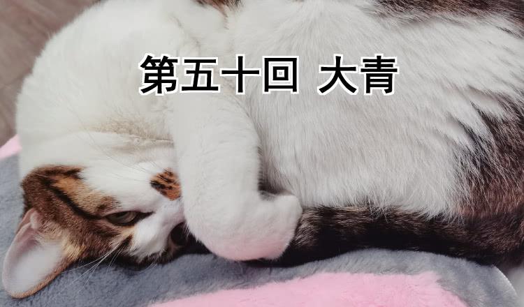 第五十回 大青1