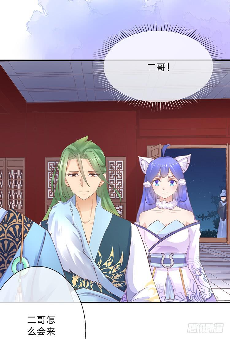 二哥回来了27