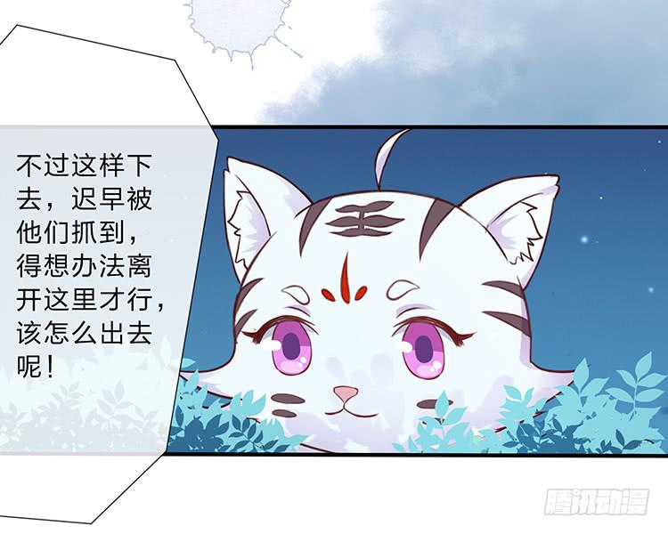 二哥回来了5