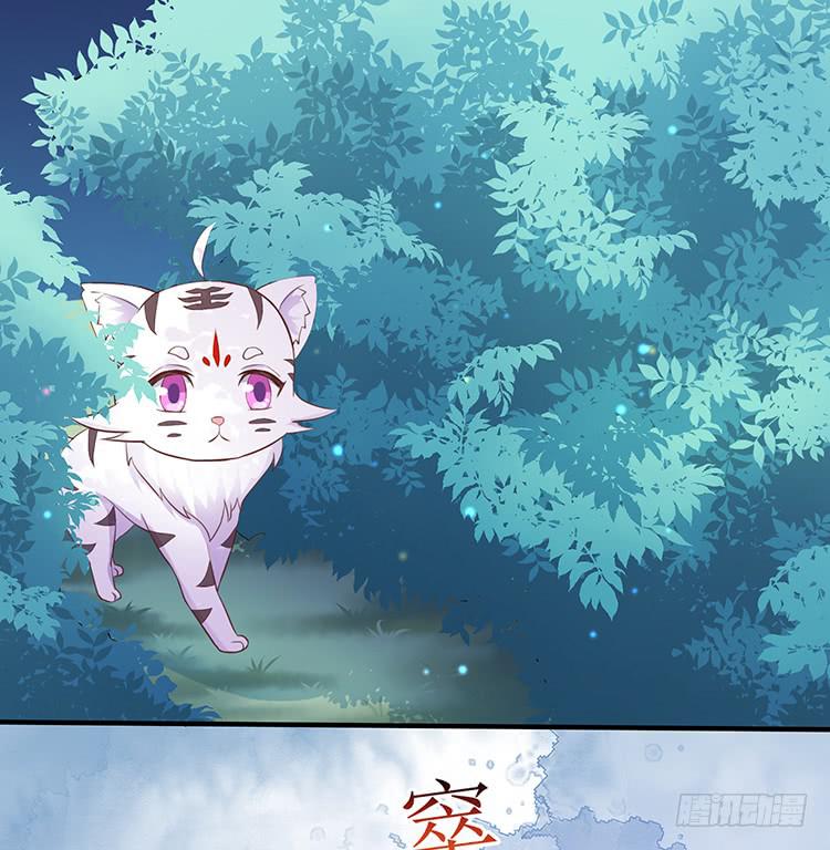 二哥回来了8