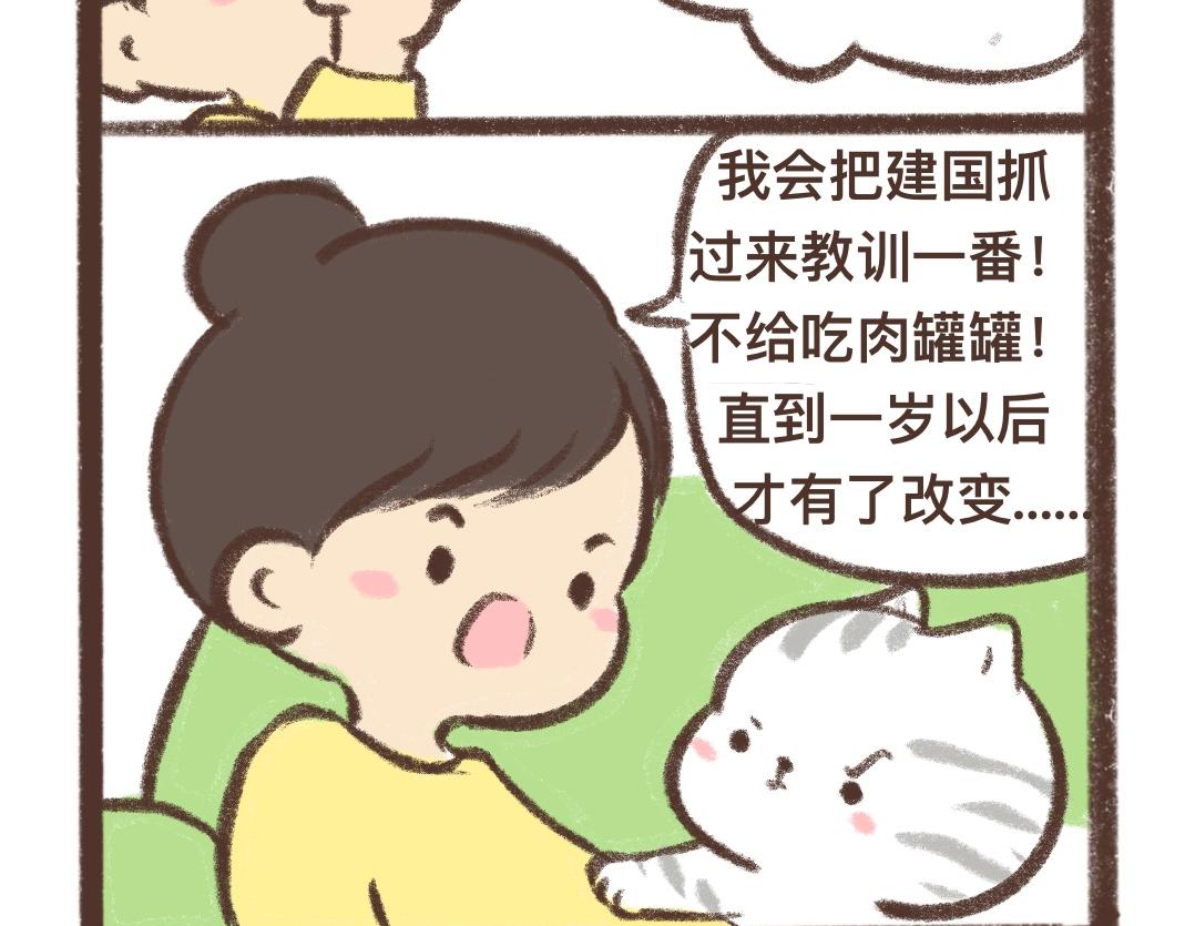 上进的小猫咪10