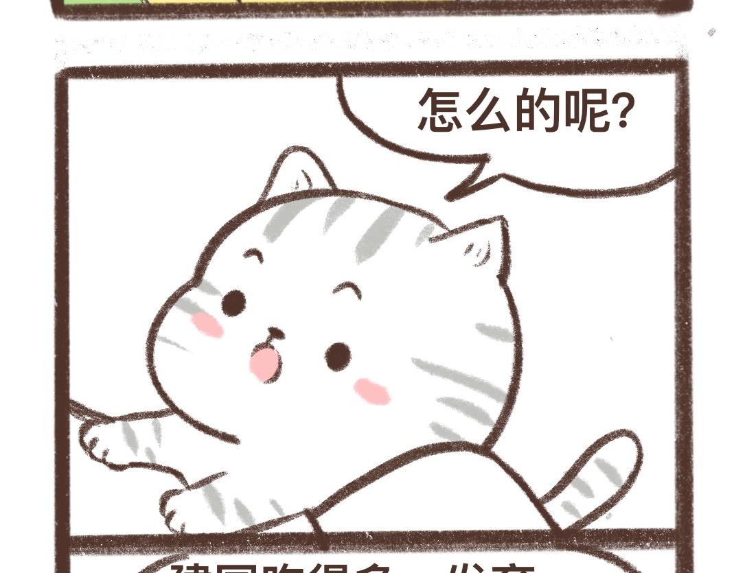 上进的小猫咪11