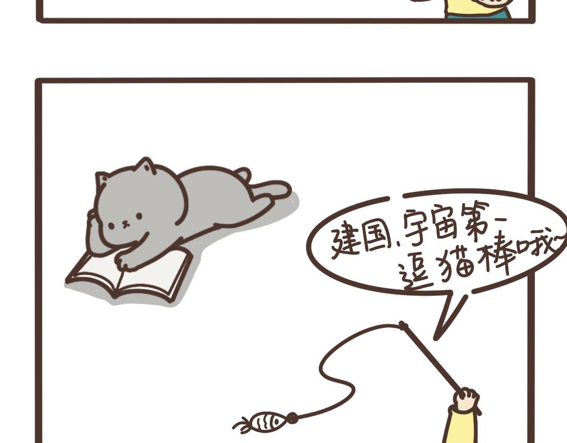 上进的小猫咪4
