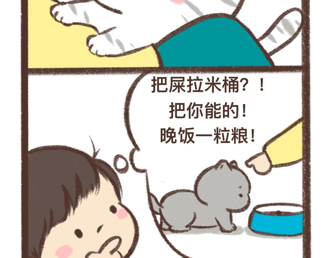 上进的小猫咪9