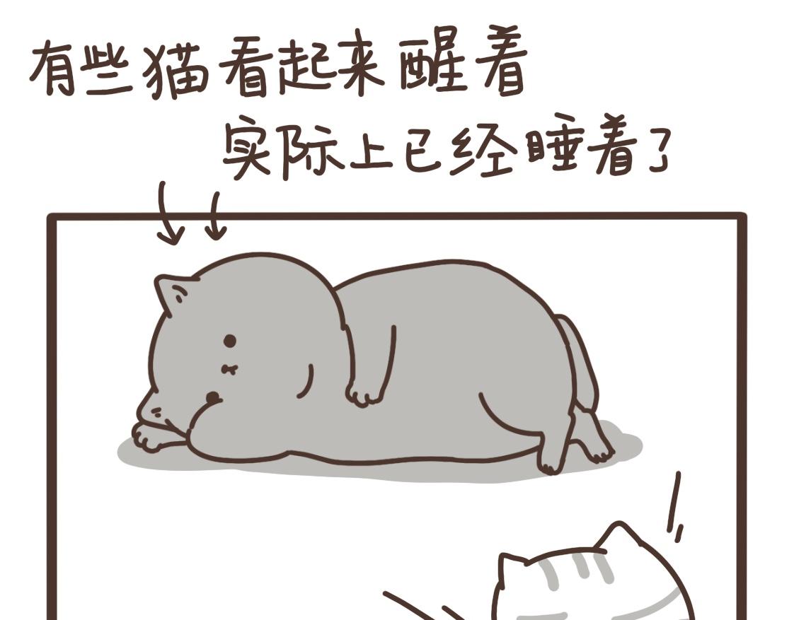 对力量的渴望7