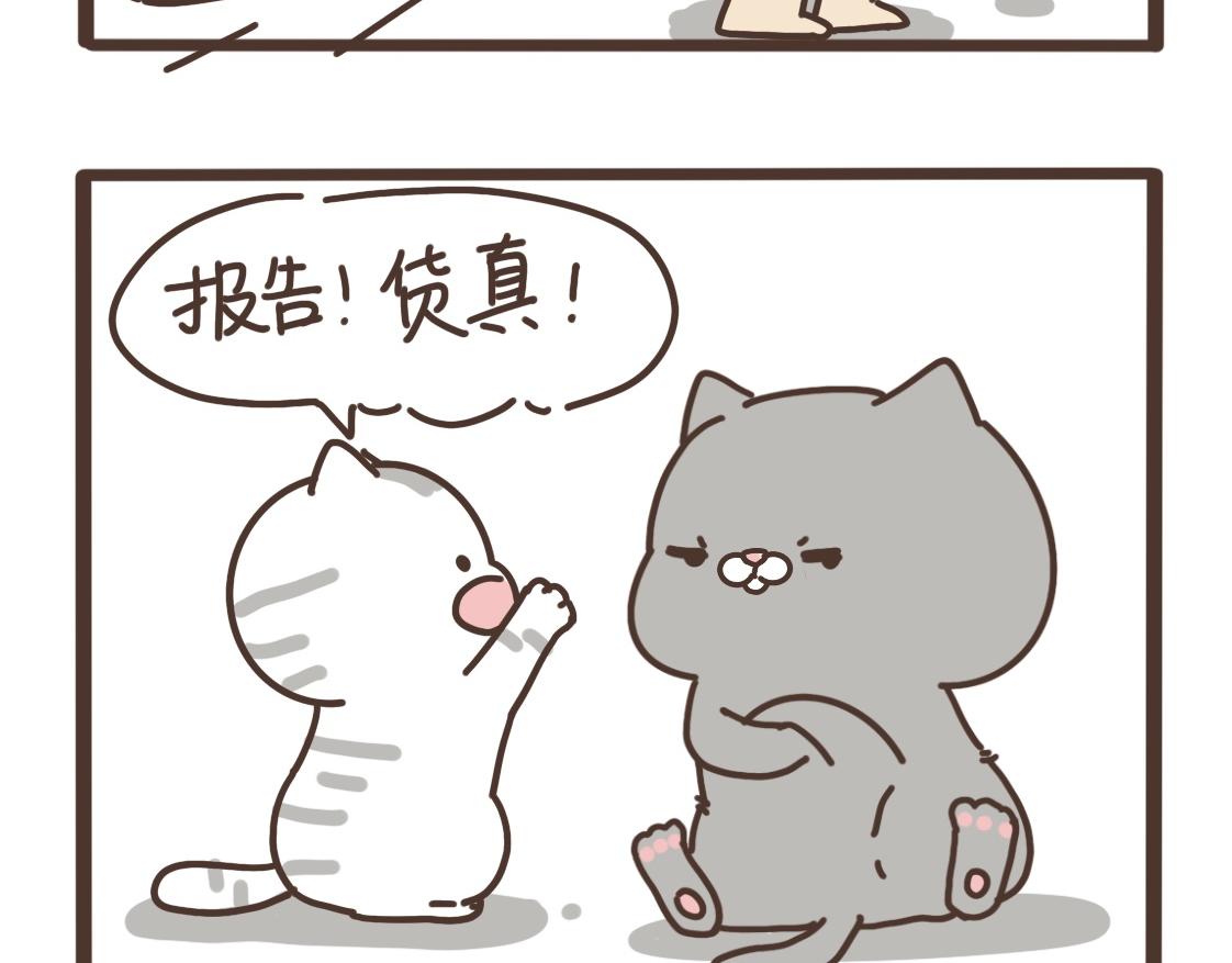 打江山容易14