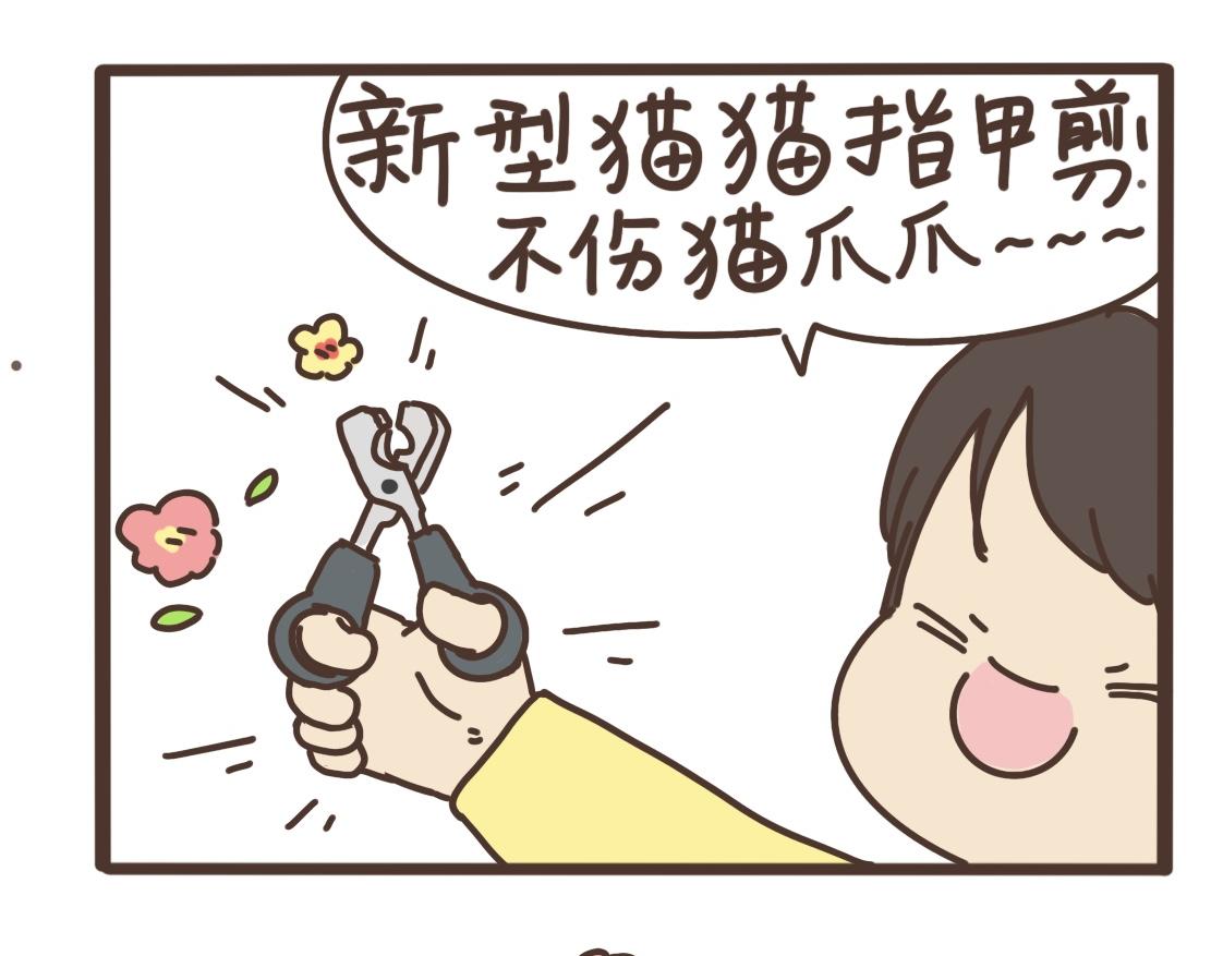 打江山容易17