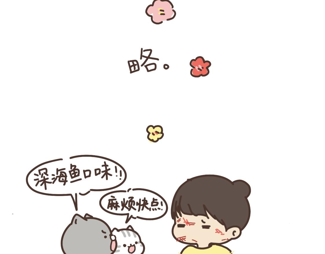 打江山容易18