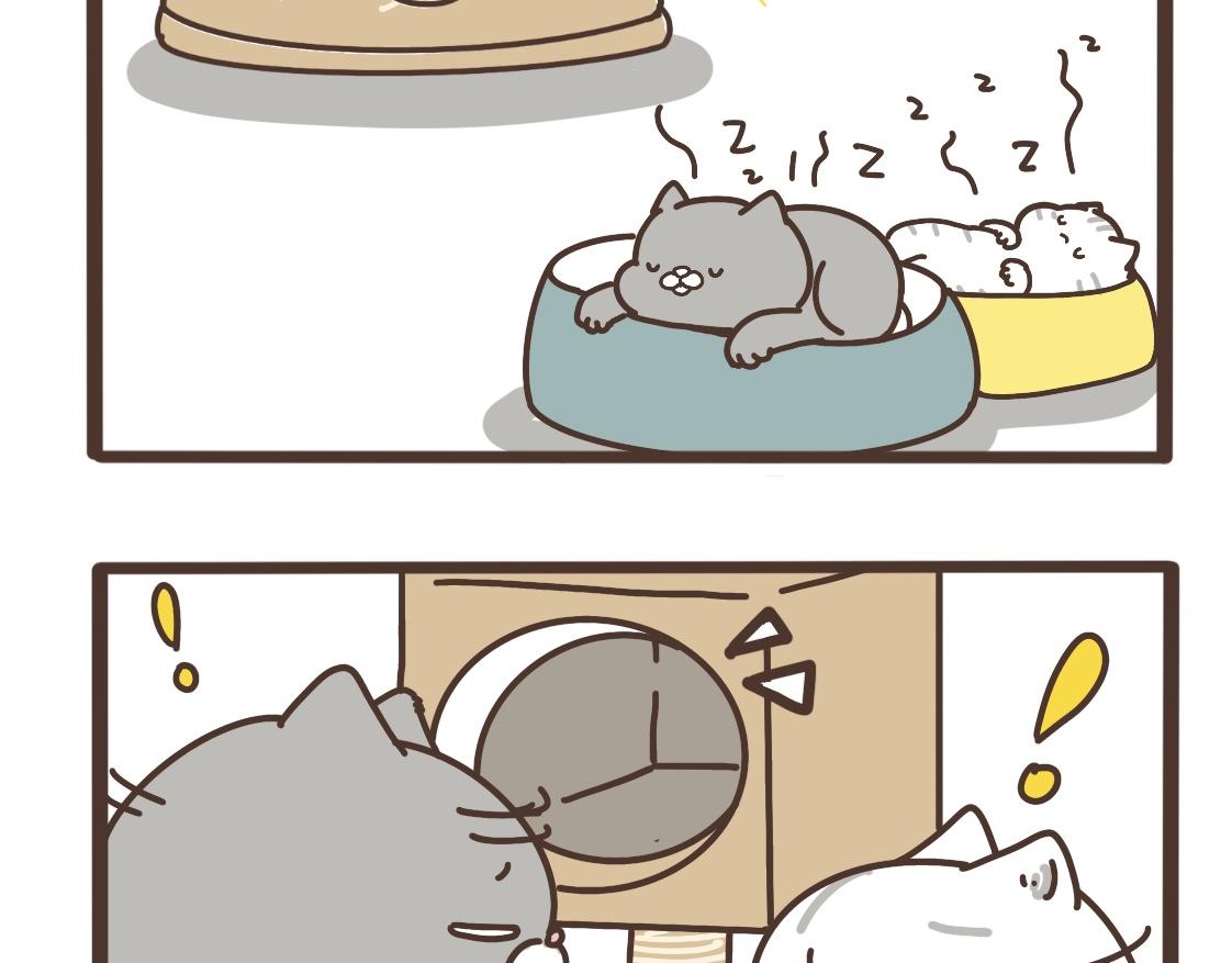 打江山容易7