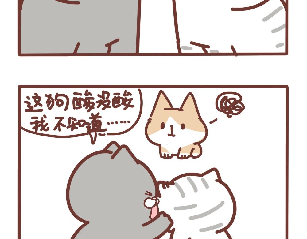精致的二狗子2