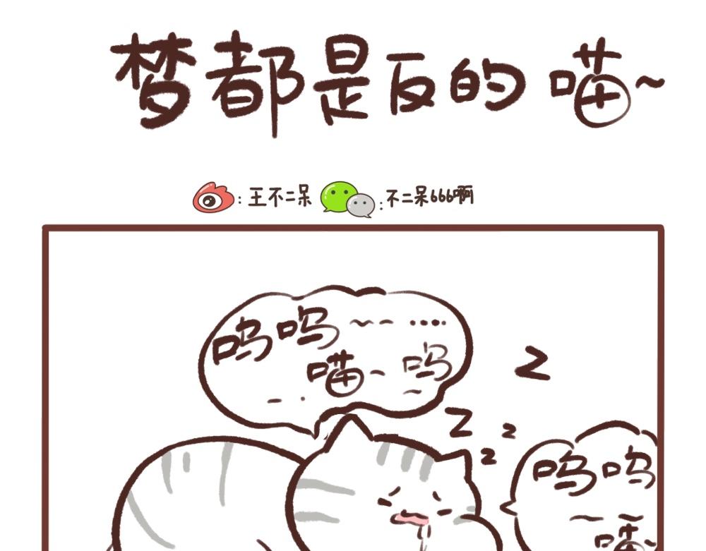 梦是反的0