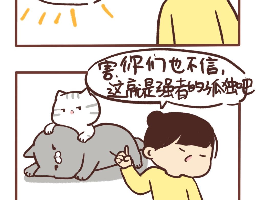 梦是反的12
