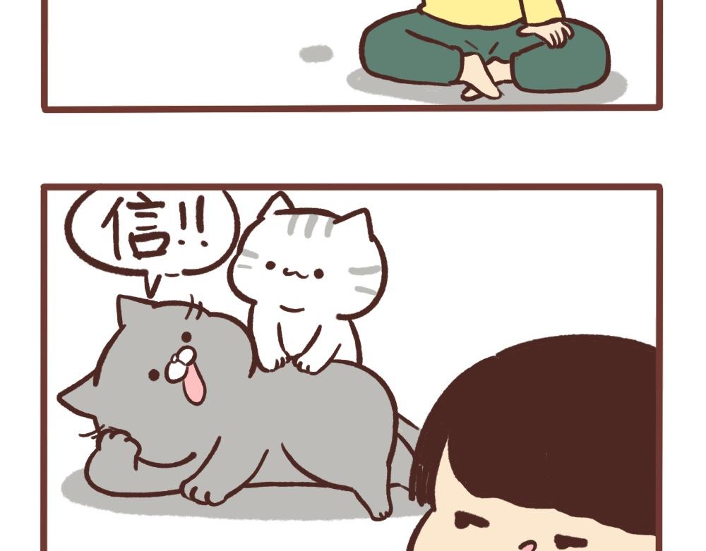 梦是反的13