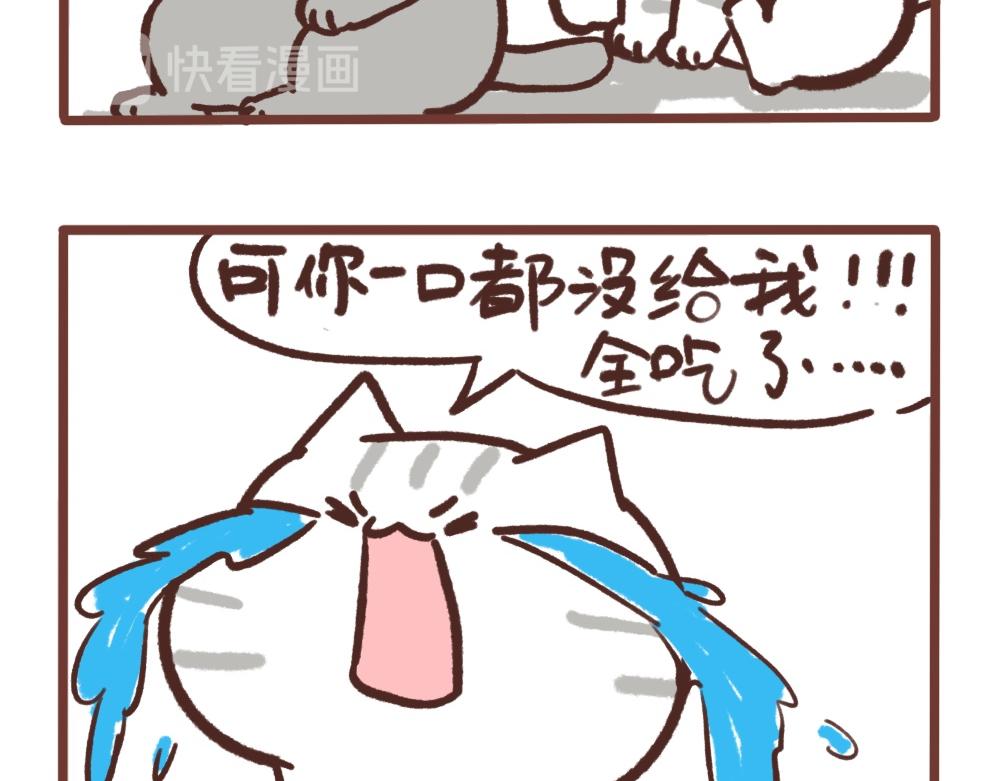 梦是反的5