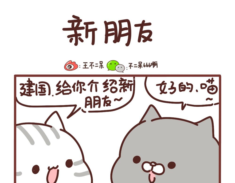 仗仗0